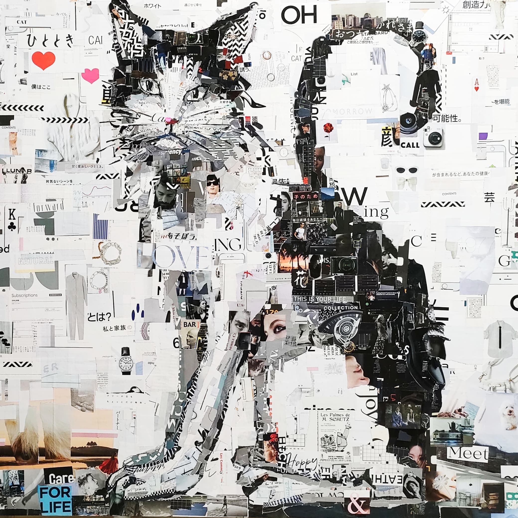 とのいけこーた