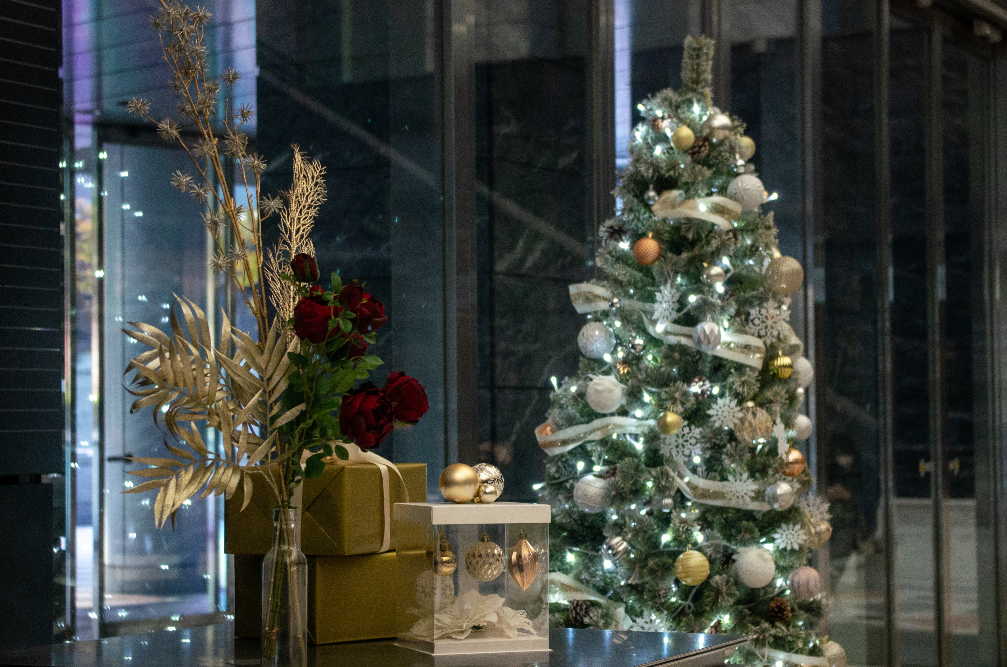 新宿アイランド クリスマスツリー展示